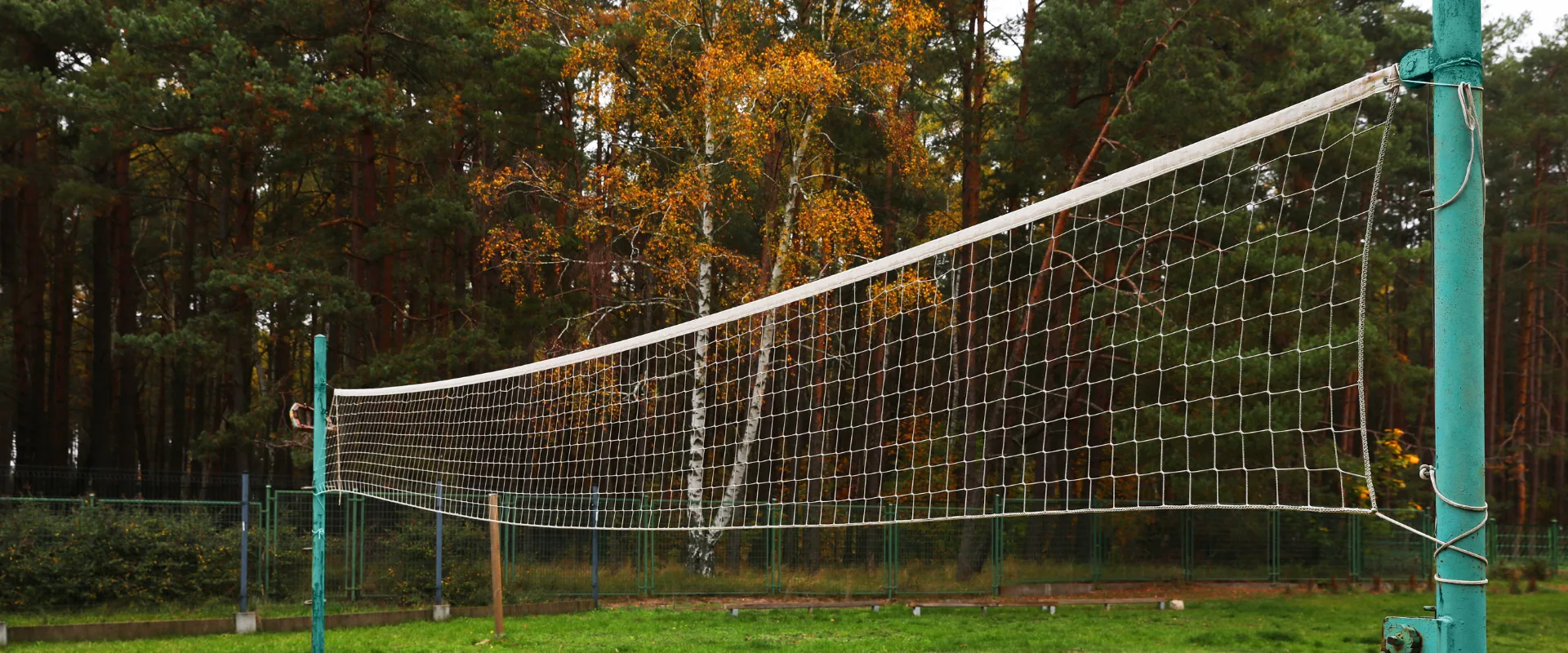 Sports Nets